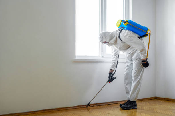 Best Pest Control for Multi-Family Homes  in Lynchburg, OH